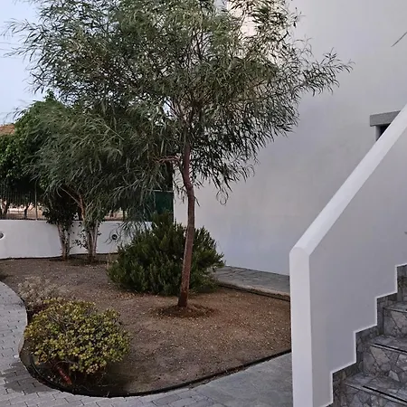 Apartament Olive