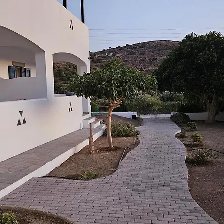 Olive Apartament